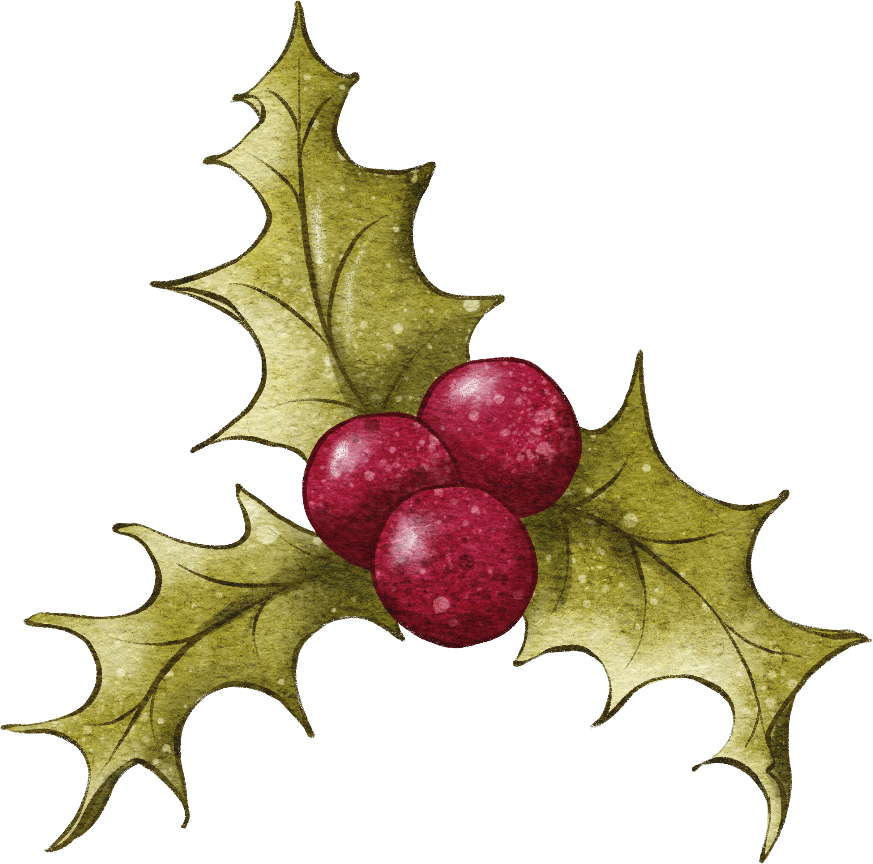 Holly_Leaf_Bunch_2